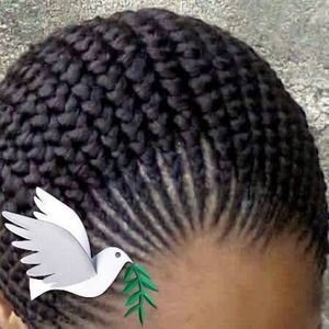 Meet your Posher, Clover